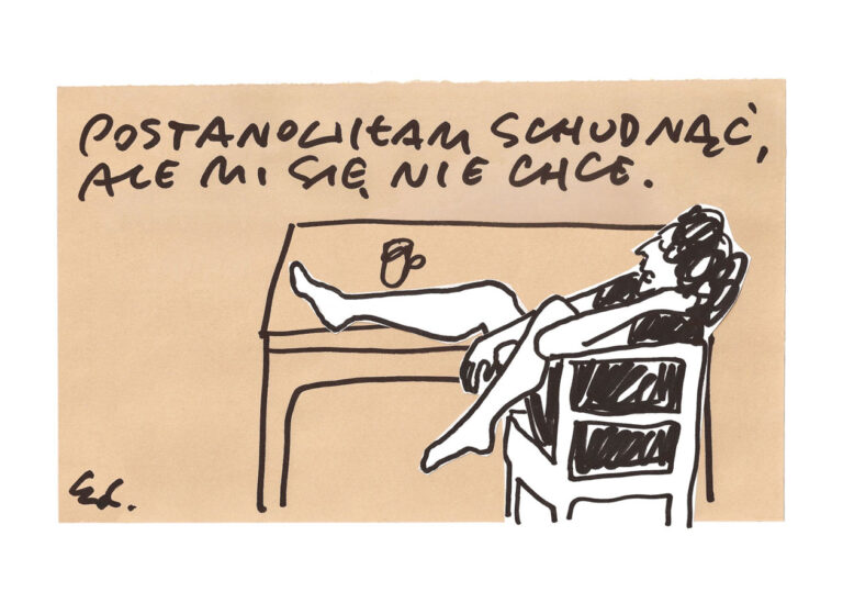 plakat Postanowiłam schudnąć, ale nie mam ochoty