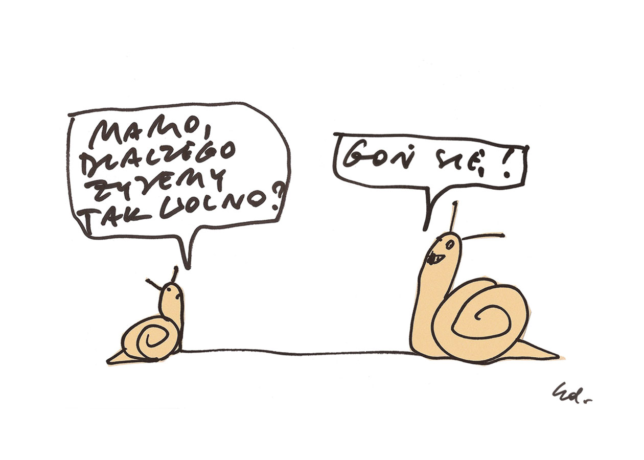 plakat Ślimaku, dlaczego żyjemy tak powoli? 