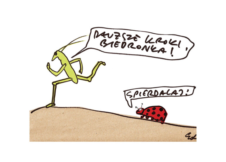 plakat większe kroki, biedronka! odwal się!