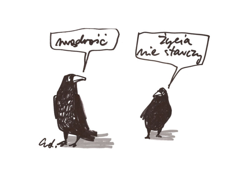 plakat by być mądrym, nie starczy życia