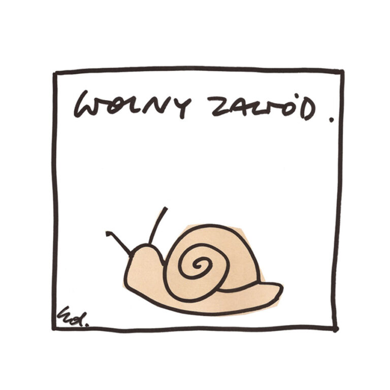 plakat wolny strzelec