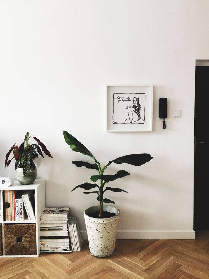 print nie poganiaj mnie