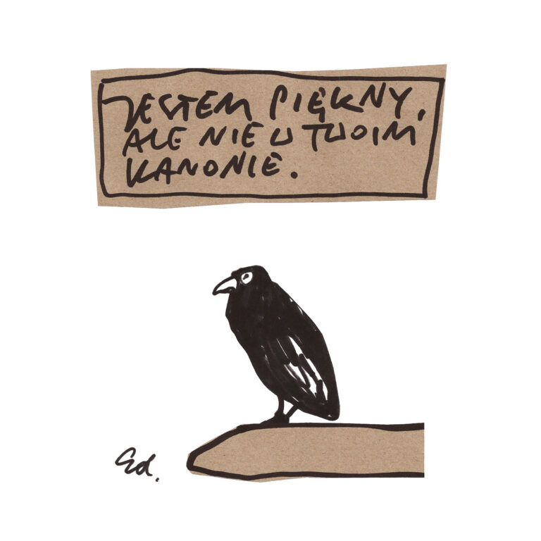 plakat Jestem piękny, ale nie w twoim kanonie